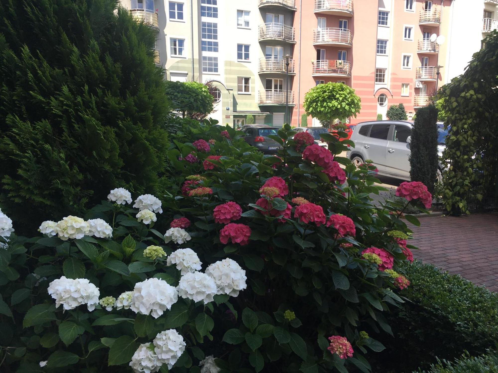 Hostel Annamarie Szczecin Buitenkant foto